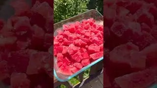 Watermelon Slushie Cocktail