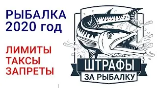 5 штрафов за рыбалку в 2020 году за превышение лимита, размера рыбы и снасти