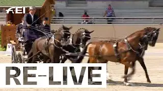 RE-Live | Dressage Day 2 - FEI Driving World Championship Four in Hand