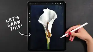 Draw a Calla Flower in Procreate | Digital Art Tutorial