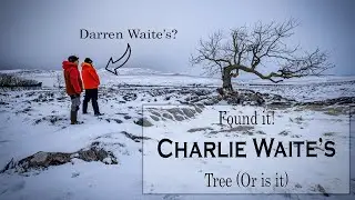 Charlie Waite or Darren Waite's Lone Tree