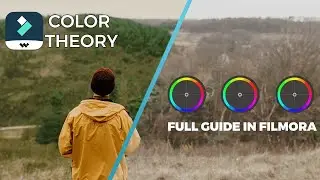 How to Color Grade like a Pro | Theory with Perfect Examples!