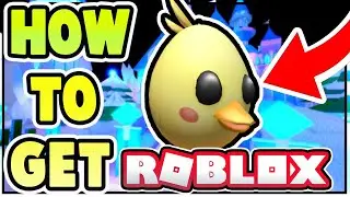 HOW TO GET THE ADOPT ME CHICK EGG! *Adopt Me* (Roblox Egg Hunt 2020)