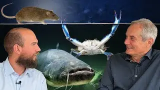 Quando una Specie è INVASIVA? E che fare? Con Piero Genovesi