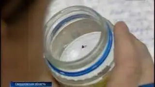 Россия 1 06 04 18 20 44 Клещи