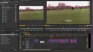 Aspect ratios in Adobe Premiere Pro CC