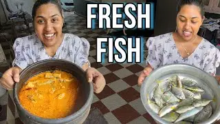 എന്റെ മീൻ കറിയും കപ്പയും . ഒരു വെറൈറ്റി #food #foodie #foodycouple #vlog