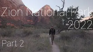 Photographing Fall In Utah | Zion National Park 2022 In Fall Part 2 | 4k