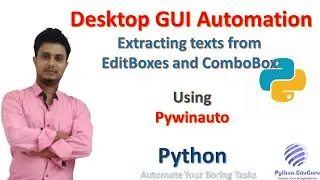 Extract Texts from EditBoxes or Text fields and ComboBox list items from a GUI using Pywinauto