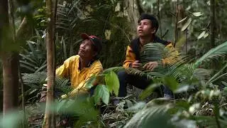 Borneo: The Jungle Convoy | Roads of the impossible