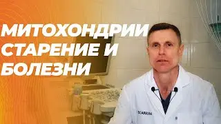 Как нарушение функции митохондрий связано с диабетом, раком, болезнью Альцгеймера и болезнями сердца