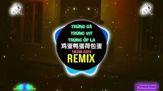 鸡蛋鸭蛋荷包蛋 Eggy Party (DJ抖音版 Remix Tiktok 2024) Trứng Gà Trứng Vịt Trứng Ốp La (Remix) 蛋仔派对新版