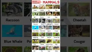 Mammals Name 