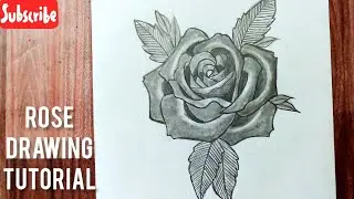 how to draw a rose easy step by step for beginners