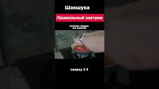 6 ПРОСТЫХ и ПОЛЕЗНЫХ завтраков. Шакшука