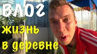 Влог: Жизнь в деревне Часть 2 | Влоги каждый день