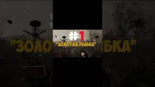 Топ 5 Артефактов Сталкер Чистое небо Stalker SHORTS