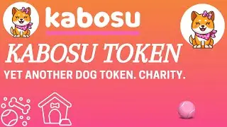 Kabosu Token - Meme Coin. Dog Yet Again. Cute. Charity. Ecosystem. Nothing Special.