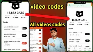 Cats all video code // cCat Coin All Task
