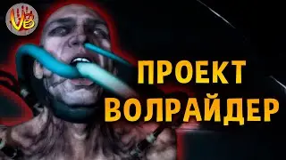 История проекта 