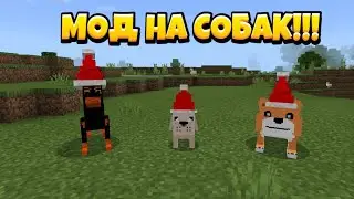 Майнкрафт пе мод на собак v1.6 1.16x Майнкрафт бедрок Dogs Addon V1.6