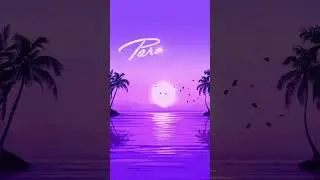 Welcome to ‘PARADISE’ 🏝️ 