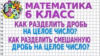 КАК РАЗДЕЛИТЬ ДРОБЬ НА ЦЕЛОЕ ЧИСЛО? КАК РАЗДЕЛИТЬ СМЕШАННУЮ ДРОБЬ НА ЦЕЛОЕ ЧИСЛО? МАТЕМАТИКА 6 класс