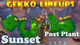 Top 15 Sunset Gekko Post Plant Lineups | Gekko Lineups Sunset | Gekko Mosh Pit on Sunset