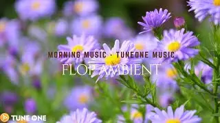 Flop Ambient - Country music - Piano Relaxing Music - Juan José Boris Samu