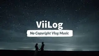 Dizaro - Love Blind | ViiLog No Copyright Vlog Music