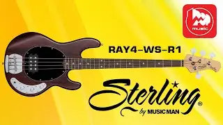 Бас-гитара STERLING RAY4 (аналог Music Man)