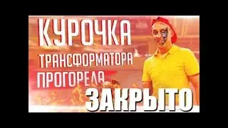 КУРОЧКА РОМЫ ЗАКРЫЛАСЬ! Куценко Продает почку.