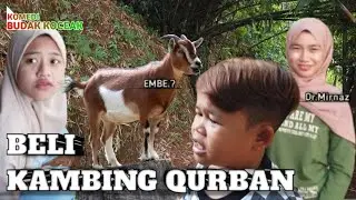 Beli Kambing Qurban | Komedi Budak Koceak