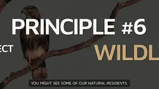 Leave No Trace Principle #6: Respect Wildlife (Subtitles)