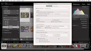 Customizing View Options in Lightroom