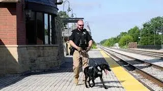 See Something, Say Something | Metra Police K9 Officer