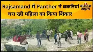 Panther Attack : Rajsamand में Panther ने बकरियां चरा रही महिला का किया शिकार | Jagruk Times