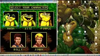 Battletoads & Double Dragon x24bit настройка эмулятора.