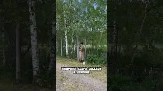 ТИПИЧНАЯ ССОРА СОСЕДОК В ДЕРЕВНЕ 