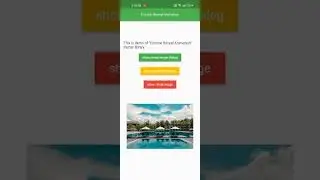Circular Reveals Animation
