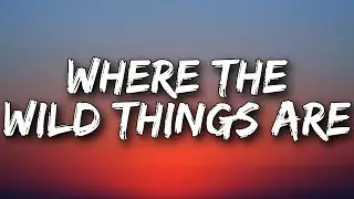 Luke Combs - Where The Wild Things Are (Lyrics)