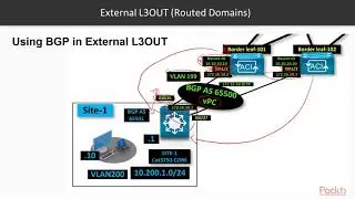 Learning Cisco Application-Centric Infrastructure: External L3OUT with BGP | packtpub.com