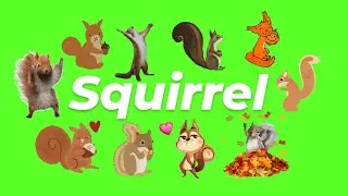 Animated Squirrel GIF Green Screen Pack (Free Download)