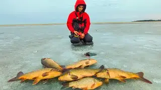 ОПУСТИЛ КАМЕРУ А ТАМ ЛОГОВО! ЖОР САЗАНА ЗИМОЙ! ЛЕСКА ТРЕЩИТ! Зимняя рыбалка 2023