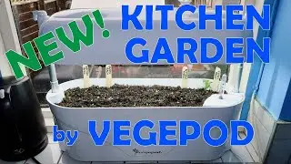 The NEW Vegepod Kitchen Garden: Unboxing and Setting Up, A Step-by-Step Guide