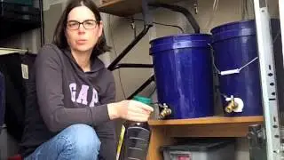 Brewing Worm Tea/Leachate for Plants and Seedlings!