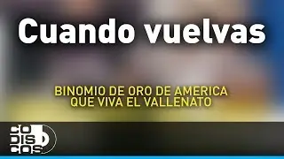 Cuando Vuelvas, Binomio De Oro De América - Audio