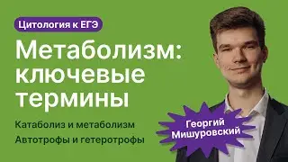 2.46. Метаболизм: ключевые определения | Цитология к ЕГЭ | Георгий Мишуровский