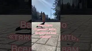 Предупреждения Вселенной, часть 1