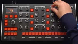 Nina Synth by Melbourne Instruments Sound Demo #3 'Tasmanian Devil' patch #shorts